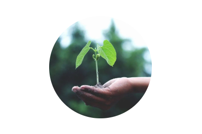 520·健康植保日丨擁抱綠色農(nóng)業(yè)，暢享健康生活