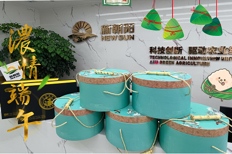 情暖端午  愛(ài)駐新朝陽(yáng)
